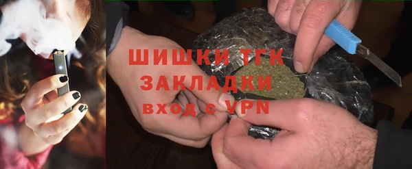 твердый Тайга