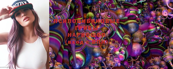 дурь Волоколамск