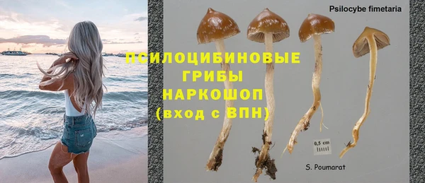 винт Вяземский