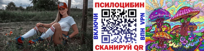 Псилоцибиновые грибы прущие грибы  купить  цена  сайты даркнета клад  Карасук 