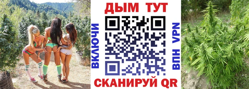 Бошки марихуана план  магазин  наркотиков  kraken онион  Карасук 